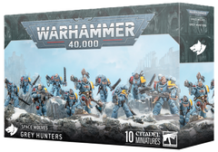 Space Wolves: Grey Hunters