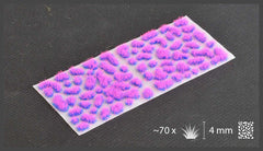 Alien Neon 4mm (Wild)