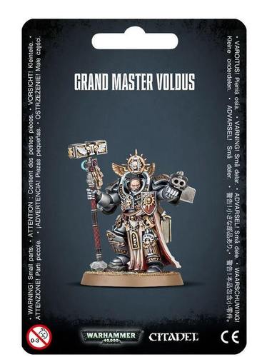 Warhammer 40k 40000 Grey Knights Grand Master Voldus