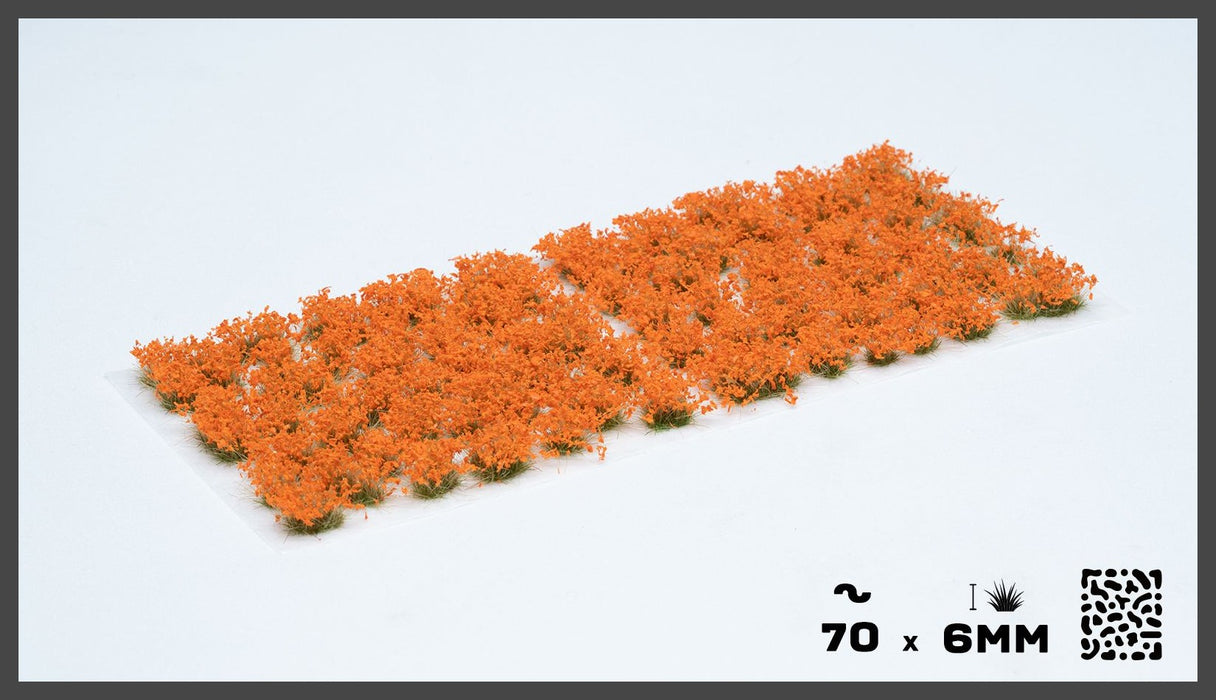 Orange Flowers (Wild)